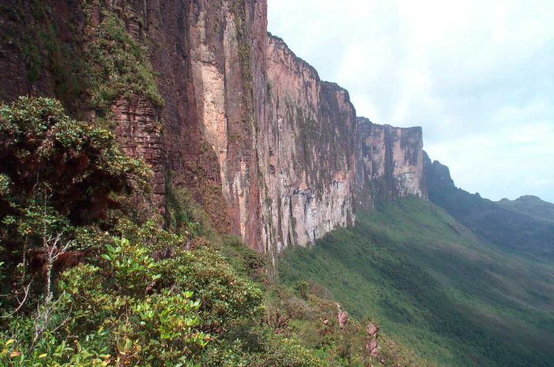 Soubor:Roraima-Tepui Wand.jpg