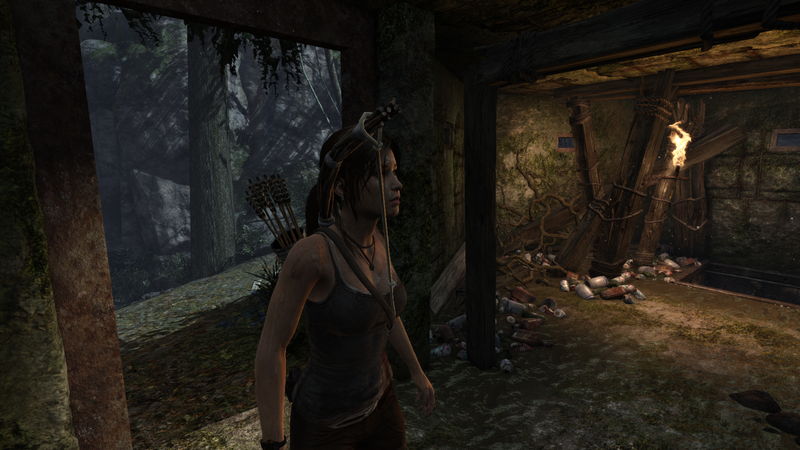 Soubor:Tomb Raider GOTY-2013-019.png