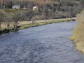 'the River Tweed - geograph.org.uk - 736177.jpg