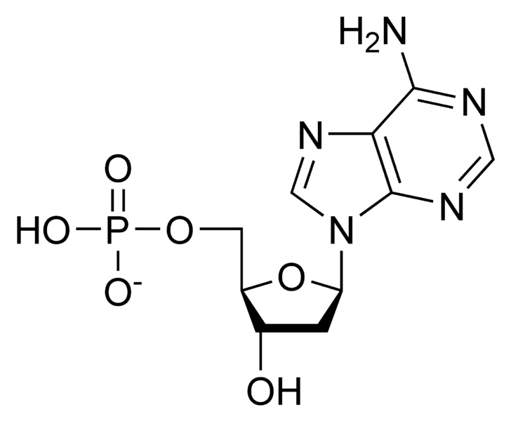 Soubor:DAMP chemical structure.png