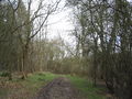 'Clay Dick' track - geograph.org.uk - 363417.jpg