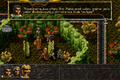 ALBION-DOSBox-089.png