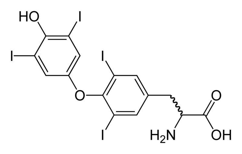 Soubor:Thyroxine-2D-skeletal.png