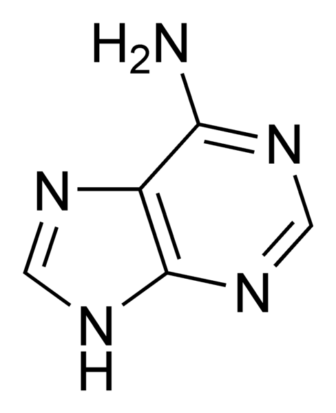 Soubor:Adenine chemical structure.png