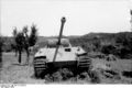 Bundesarchiv Bild 101I-478-2164-38, Italien, Panzer V (Panther) im Gelände.jpg