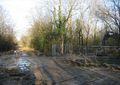 'Crosstrack' in the woodland - geograph.org.uk - 781986.jpg