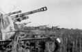 Bundesarchiv Bild 101I-219-0553A-15, Russland, bei Pokrowka, Panzerhaubitze 'Wespe'.jpg