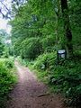 Wyre Forest footpath with new Natural England Information Board - geograph.org.uk - 1372111.jpg