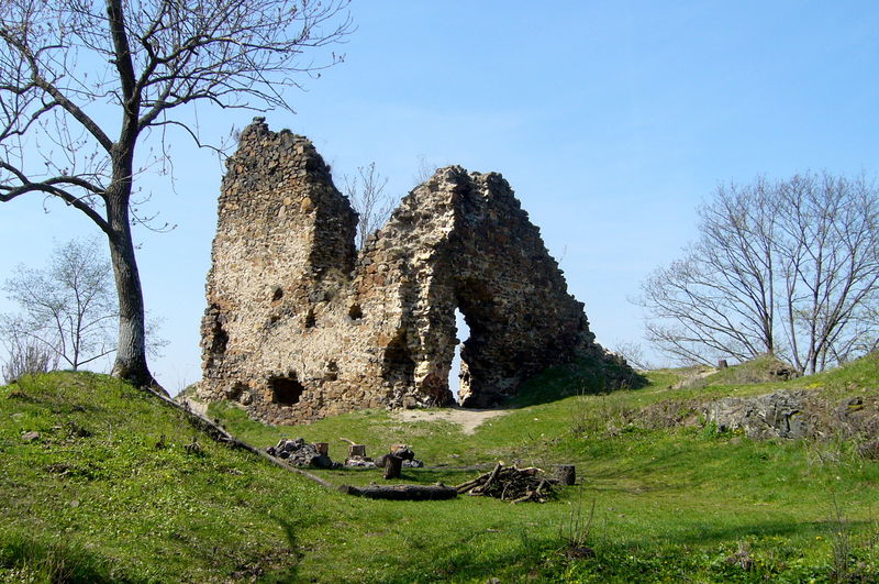 Soubor:Týřov 2010 - donjon.jpg