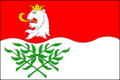 Vrdy CZ flag.png