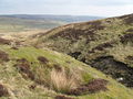 (A fifth) bell pit near the head of Whimsey Cleugh - geograph.org.uk - 1289333.jpg