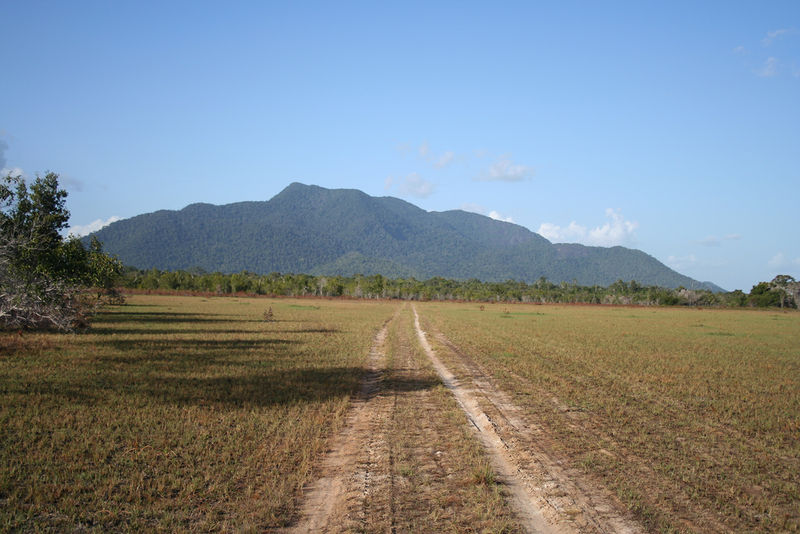 Soubor:Rupununi Savannah.jpg