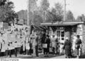 Bundesarchiv B 145 Bild-F001153-0015A, Lager Friedland, Suchmeldung an Wand.jpg