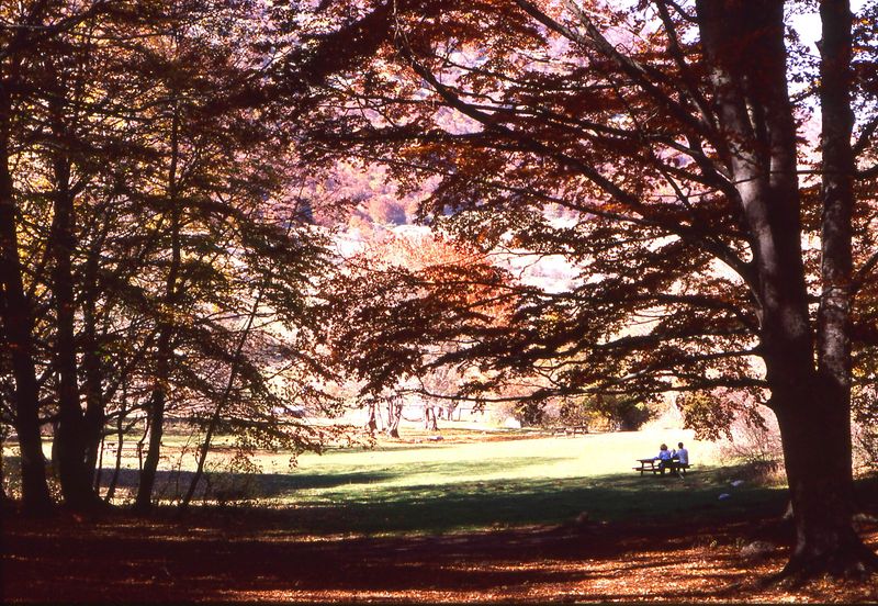 Soubor:Parco naz della Majella.JPG