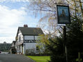 'The Pheasant' - geograph.org.uk - 749513.jpg