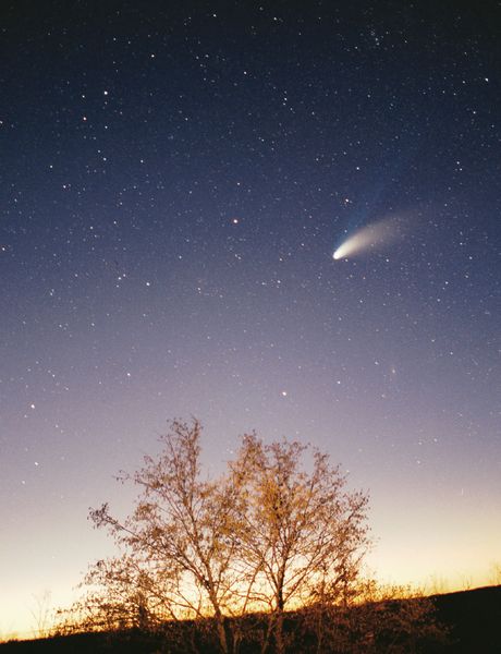 Soubor:Comet-Hale-Bopp-29-03-1997 hires adj.jpg