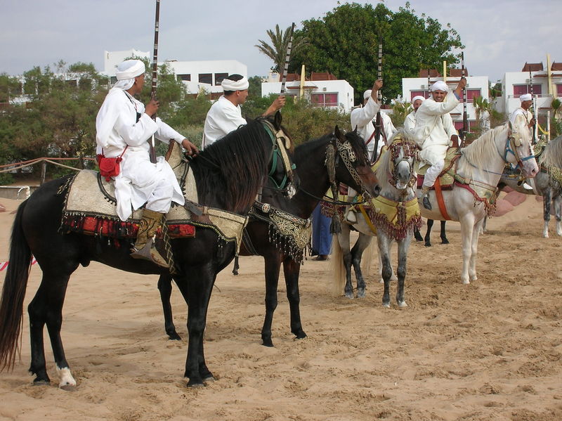 Soubor:Berber warriors show.JPG