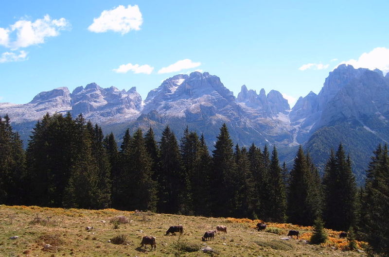 Soubor:Dolomiti di Brenta.jpg