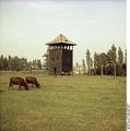 Bundesarchiv B 145 Bild-F004246-0024, Auschwitz, Gelände des ehemaligen KZ.jpg