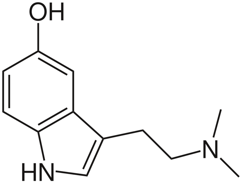 Soubor:Bufotenin.png