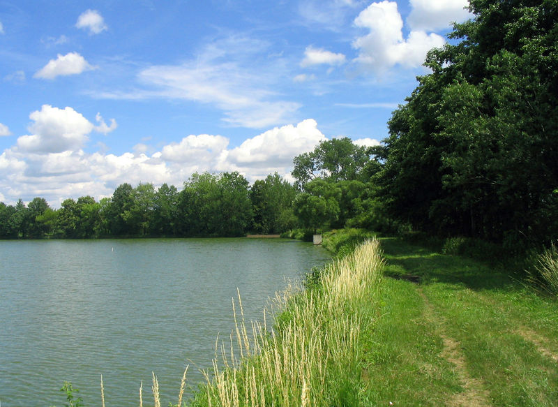 Soubor:Touškovský rybník, hráz.jpg