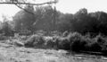 Bundesarchiv Bild 101I-721-0398-09A, Frankreich, Panzertransport mit Eisenbahn.jpg