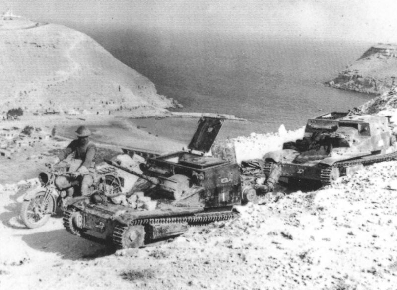 Soubor:Captured L3 and L3 cc tankettes.jpg