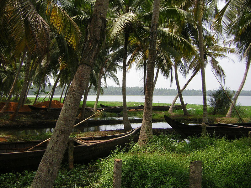 Soubor:Aakkulam kerala.jpg