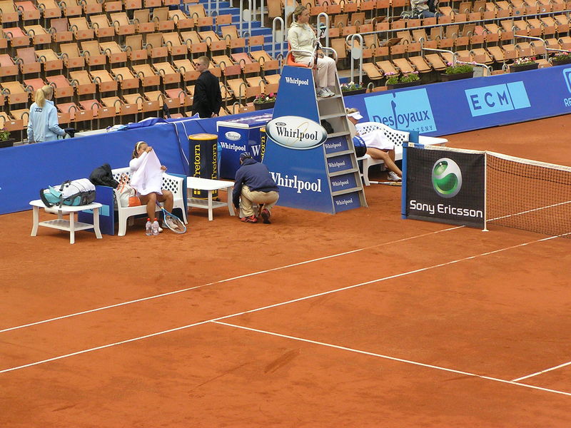 Soubor:DCibulkova-ECM07.jpg