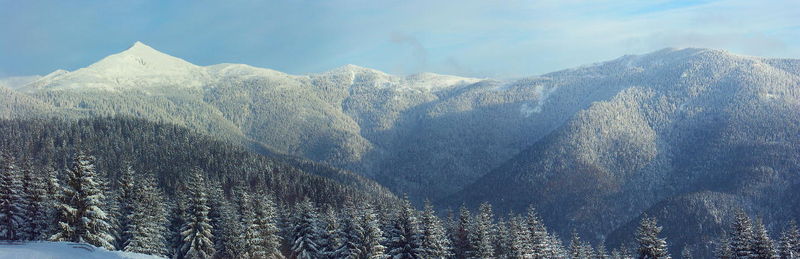 Soubor:Nizke Tatry z Rohacov.jpg