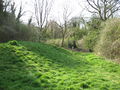 'The Spinney' near Cherry Hinton - geograph.org.uk - 805796.jpg