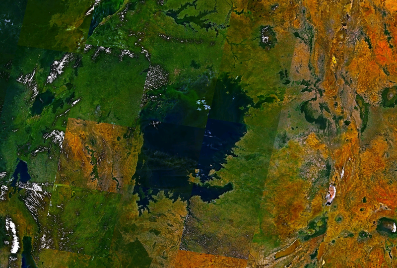 Soubor:Victoria lake landsat 7.png