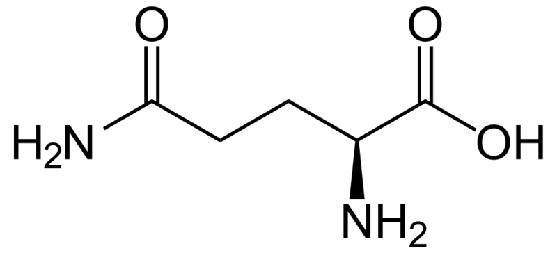 Soubor:L-Glutamin - L-Glutamine.png