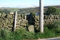 'Take Off' Stone, Mortimer Road, near Strines Inn - geograph.org.uk - 985999.jpg