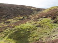 (A fourth) bell pit near the head of Whimsey Cleugh (2) - geograph.org.uk - 1289332.jpg