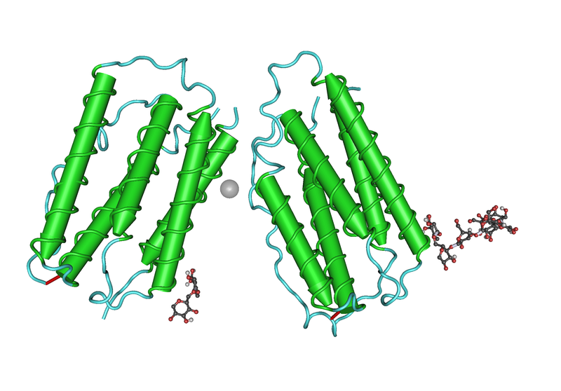 Soubor:1AU1 Human Interferon-Beta01.png