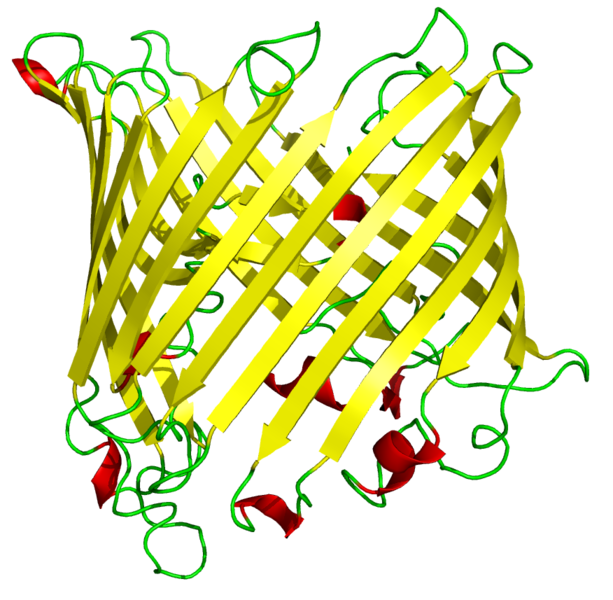 Soubor:Sucrose porin 1a0s.png