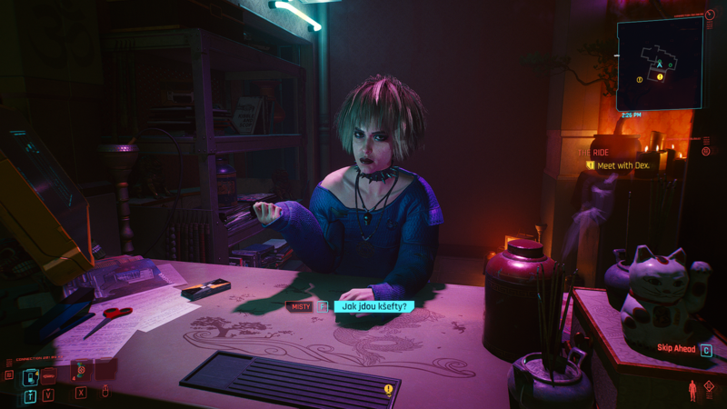 Soubor:Cyberpunk 2077-081.png