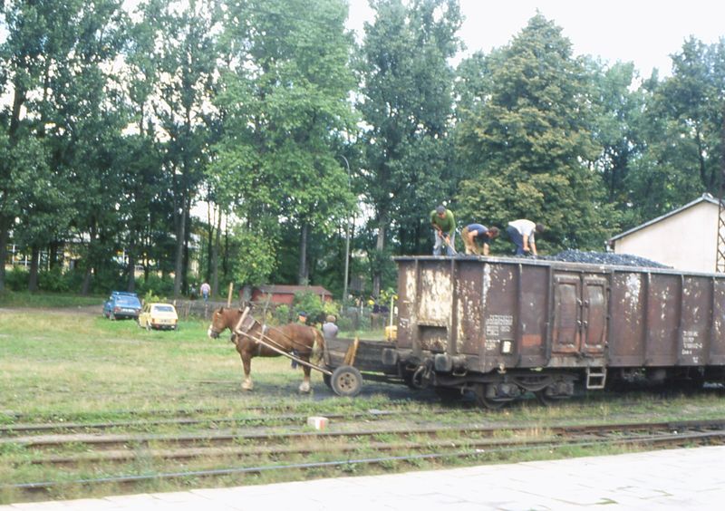 Soubor:Bahnwagen Pferdewagen.jpg